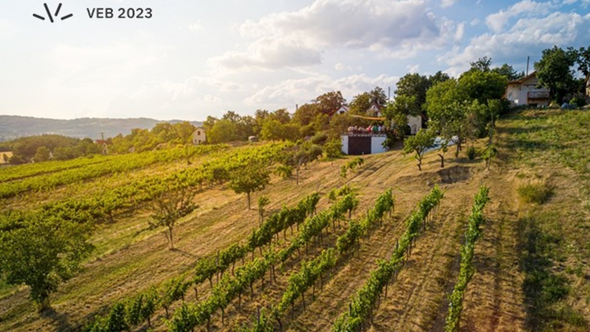 Szabadegyetem borbarátoknak I. - A szőlőtermesztés alapjai