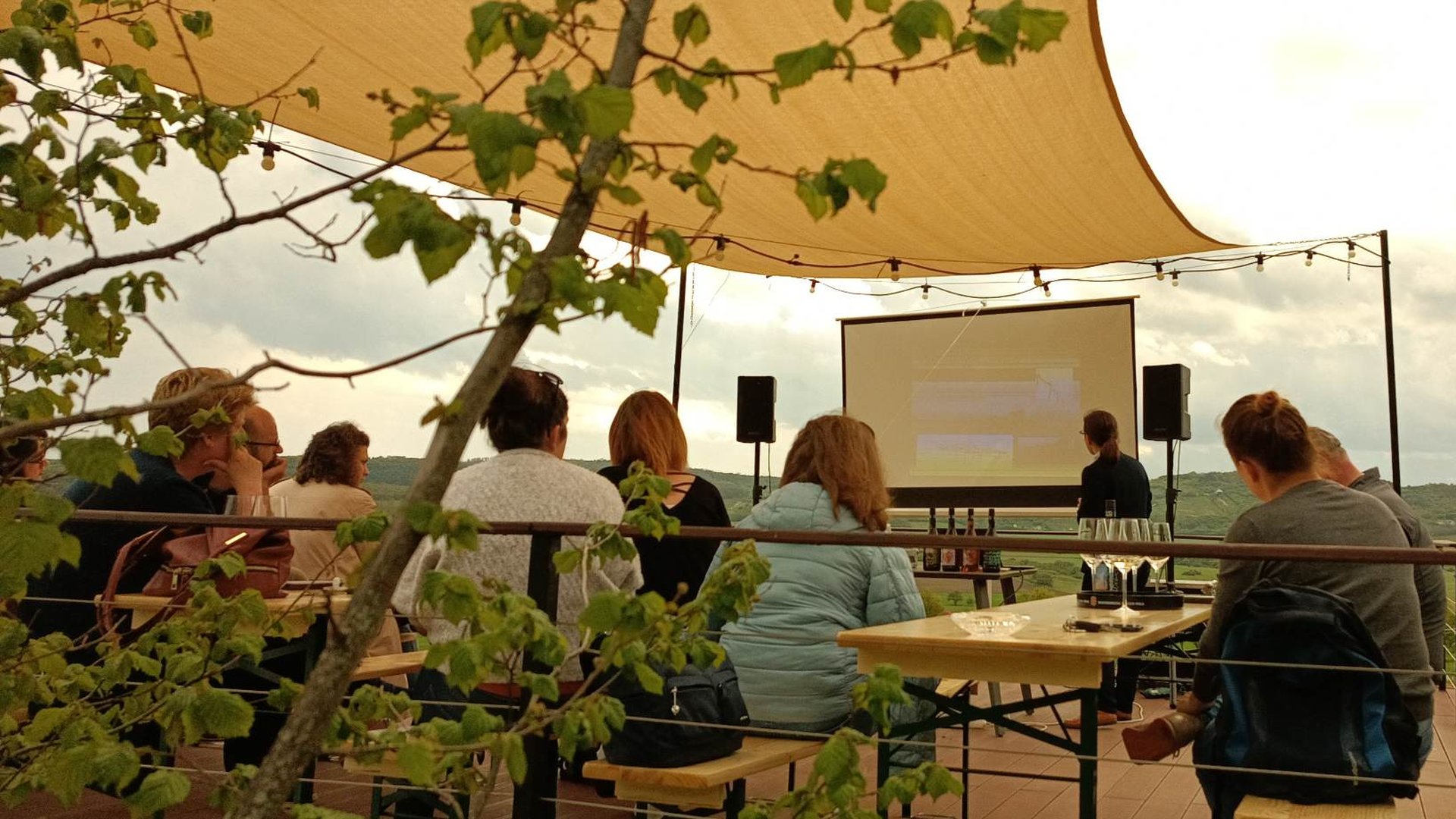 Szabadegyetem borbarátoknak II. - A borkészítés alapjai