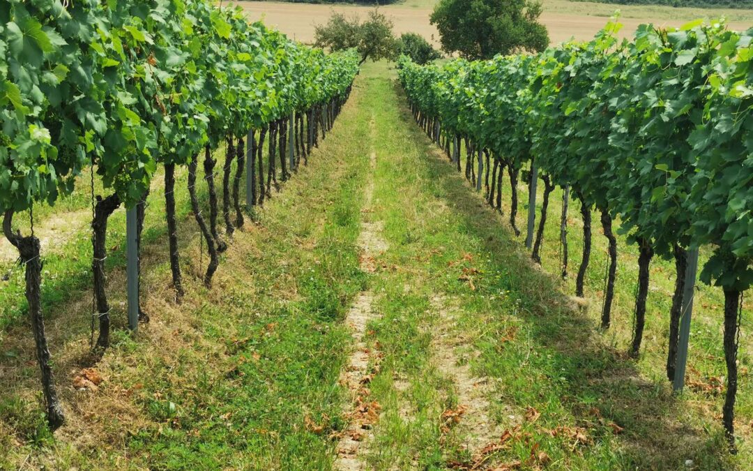 A legnehezebb rész, avagy rabszolgatartás