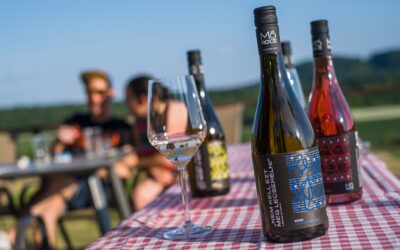 Események 20 Szabadegyetem borbarátoknak V. – A bor és a sajt. A sajtkészítés hagyományai, titkai