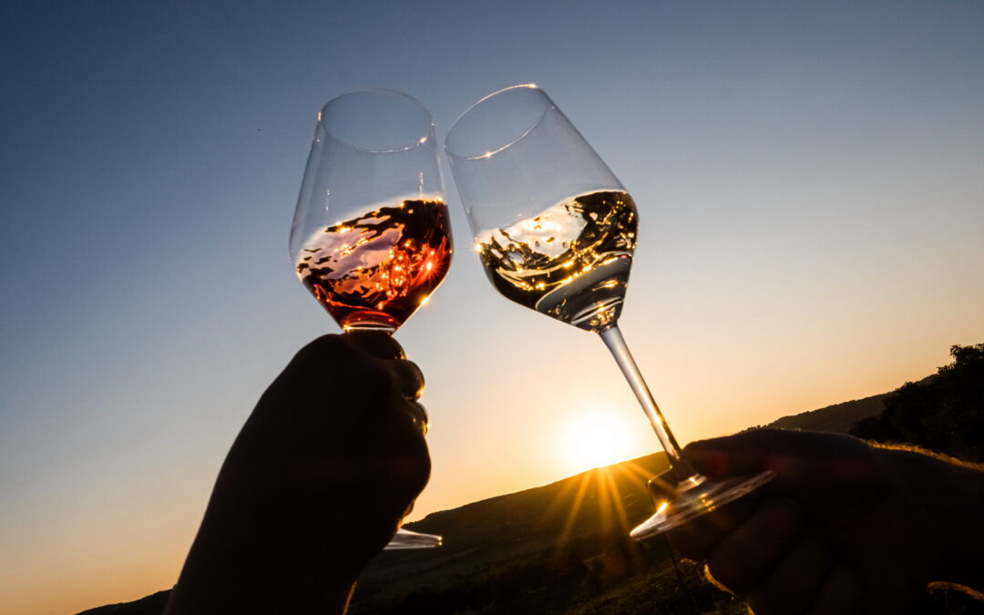 BBBB és a forgalomba hozatal