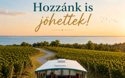 46° Balaton Borbusz